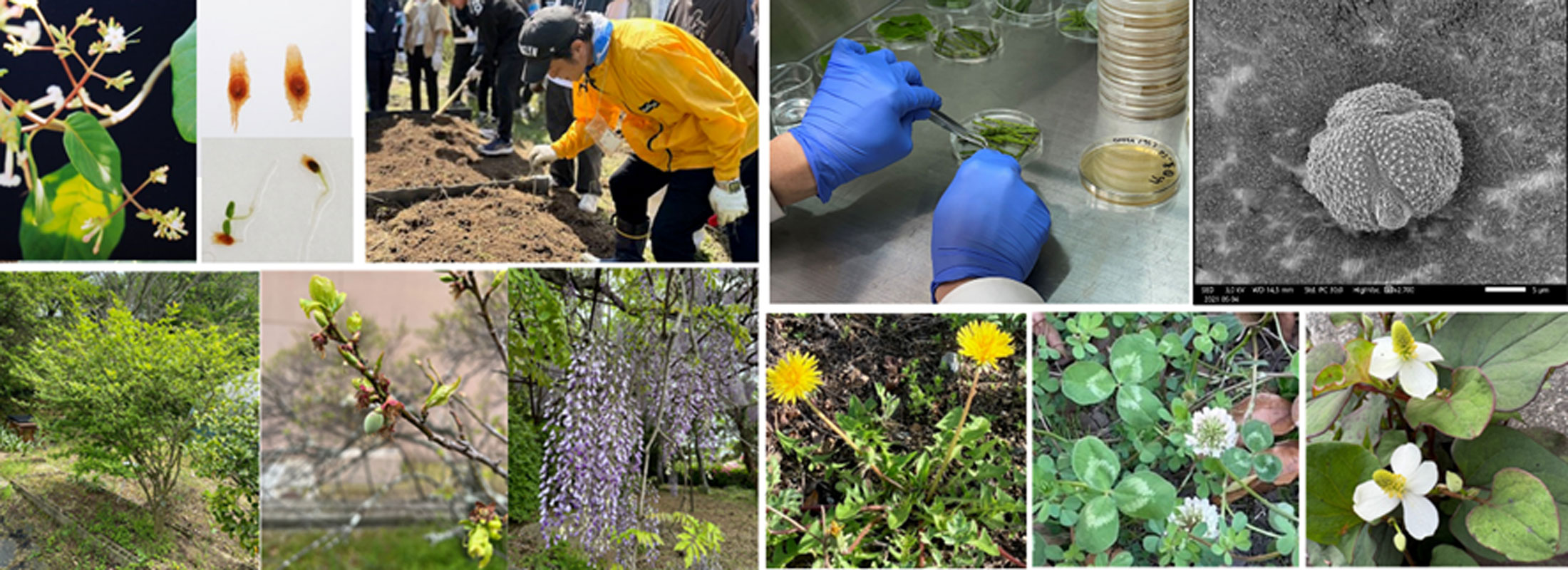 天然物薬品化学研究室