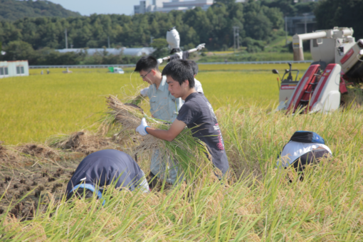 地域の方々と行う田植え（６月２日）に向け準備進行中！ 