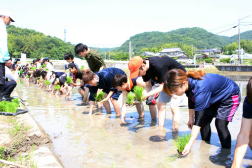 今年も地域と結びついて大学伝統の田植え実施! 