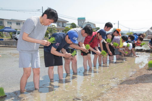 【キャンパス】福山大学の名物行事、それは田植えでしょ！