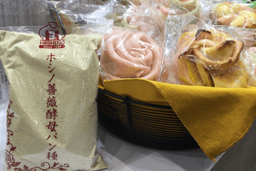 【生物工学科】福山バラの酵母を使ったパン種を全国展開！！ 