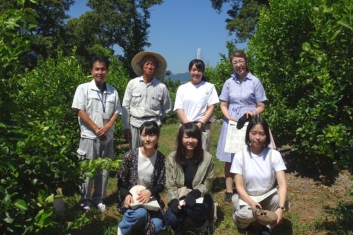 【生命栄養科学科】ひろしまのレモンでレシピ開発！～生産者との交流～ 