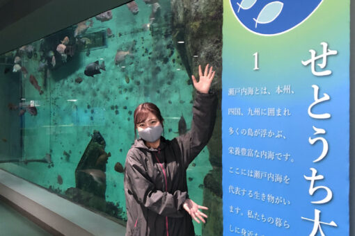 【海洋生物科学科】水族館の展示がリニューアル!! 