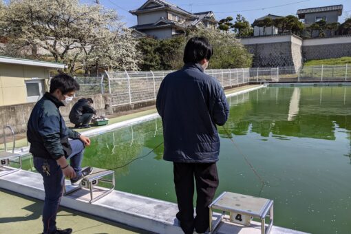 【機械システム工学科】水中ロボットをプールで実証実験 