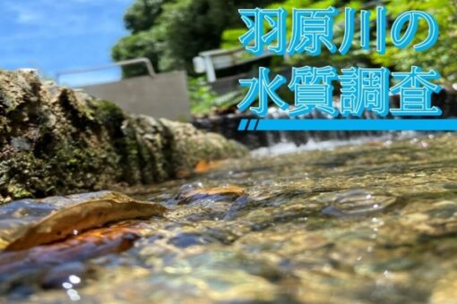 【生物工学科】環境分析学実験で調査する福山大学周辺の水環境 