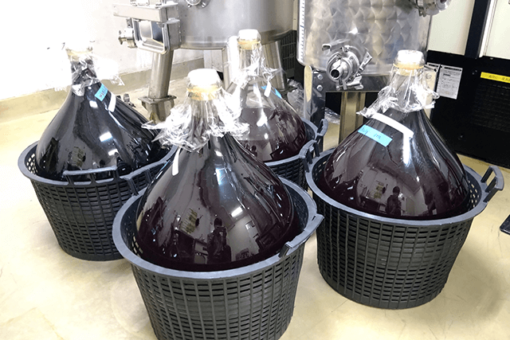 【生物工学科】東村葡萄園での栽培とワイン醸造の１年が終了！