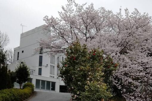 【学生寮】満開の桜の下、入寮式が執り行われました！ 