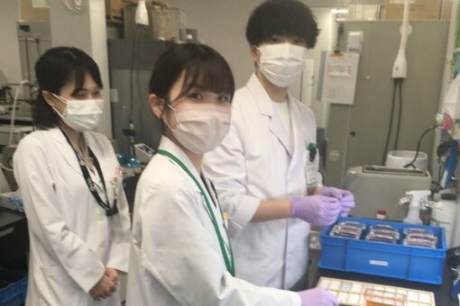 【薬学部】未来創造館で学生たちが課題研究を頑張っています！ 