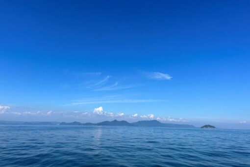 【海洋生物科学科】瀬戸内海で鯨類調査