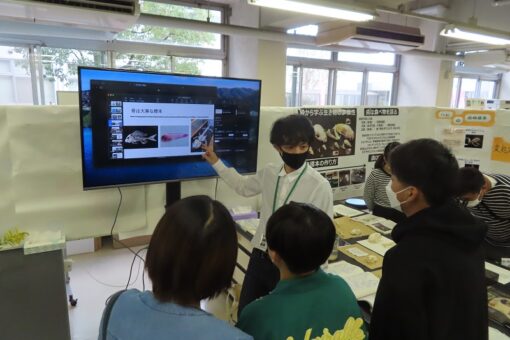 【生物工学科】3年ぶりの大学祭 