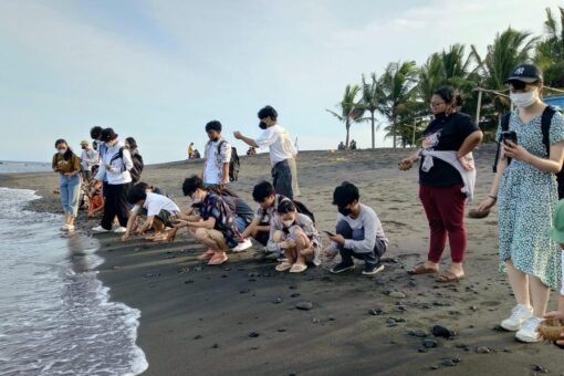 【国際経済学科】3年ぶりのインドネシアバリ島研修に行ってきました！ 