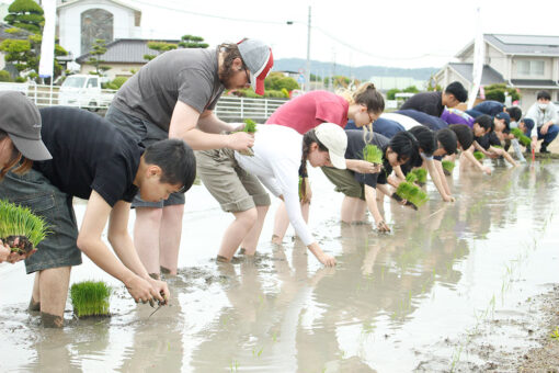 【キャンパス】福山大学の名物行事、田植えを行いました