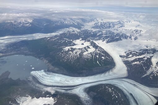 【生物工学科（生物科学科への名称変更 認可申請中）】アラスカで国際哺乳類学会議