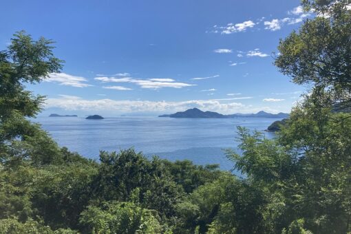 【生物科学科（生物工学科から令和6年4月名称変更）】田島・横島でのアカネズミの調査 