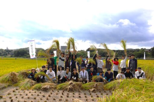 【キャンパス】福山大学秋の名物行事！稲刈りを行いました！ 