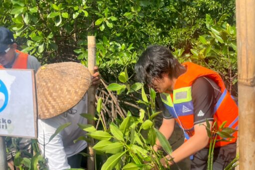 【国際経済学科】2025年度バリ島研修レポート