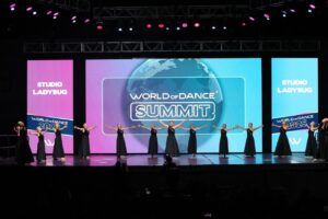 パフォーマンスの様子