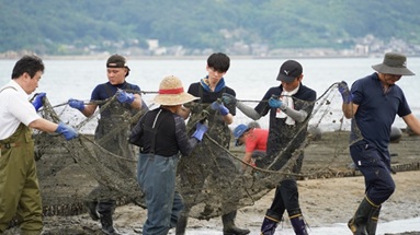 【経済学科】善野ゼミ:「アサリ再生活動」(ボランティア活動)への参加