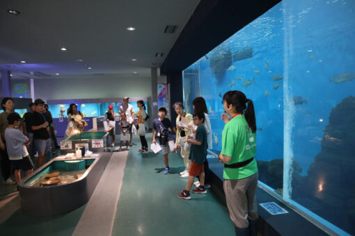 海洋生物科学科Fukudai Magまとめ６