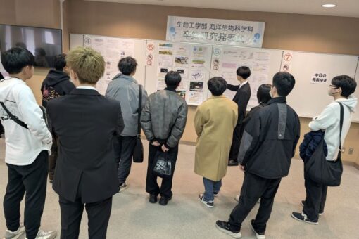 海洋生物科学科 2025年度卒業研究発表会 