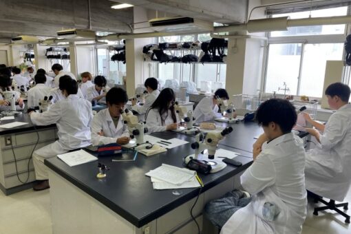 海洋基礎実験「魚類の初期発生の観察」