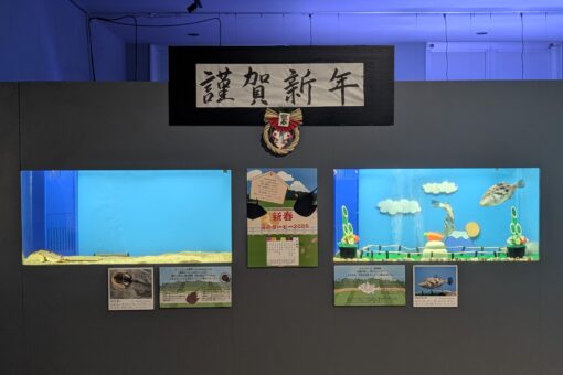 【海洋生物科学科】マリンバイオセンター水族館が恒例の干支展示を開催中～新春 海のダービー2026～ 