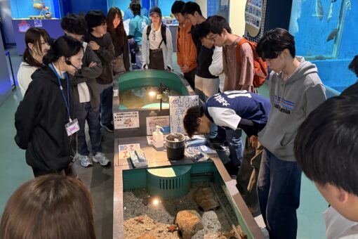 【海洋生物科学科】新入生の内海生物資源研究所～マリンバイオセンター水族館～ツアー 
