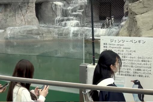 【生物科学科】動物園実習を動画で紹介!