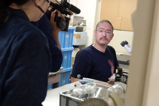 【海洋生物科学科】泉講師の「水族館生物学」の取組がNHKにて放送！ 